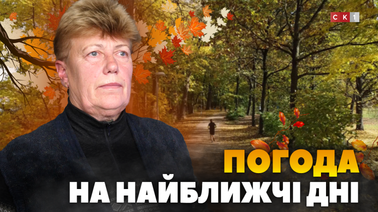Різке похолодання на Житомирщині: яку погоду прогнозують синоптики? (ВІДЕО)