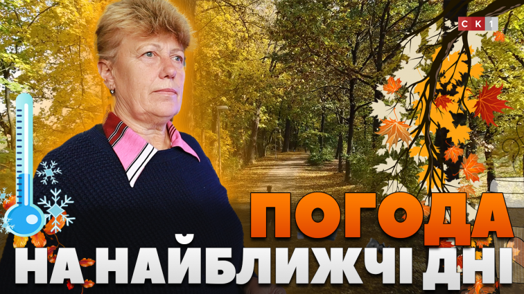 Дощ і перший сніг: яку погоду очікувати житомирянам в найближчі дні (ВІДЕО)