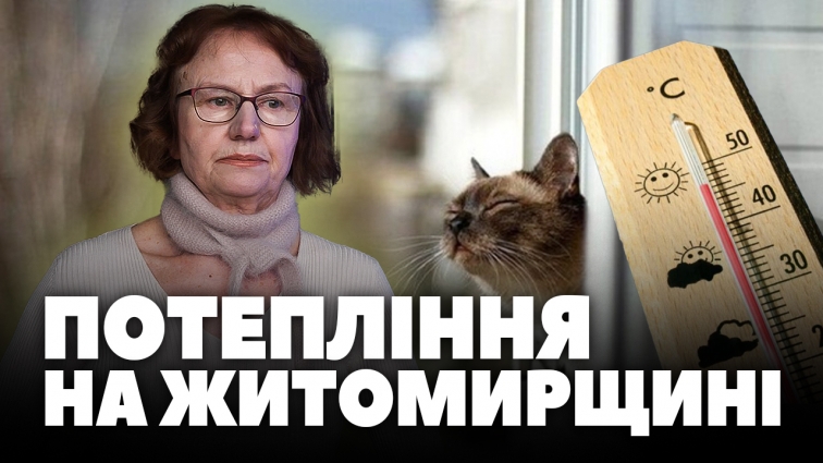 На Житомирщині стане тепліше: до +5 градусів вдень, однак вночі морози не відступатимуть (ВІДЕО)