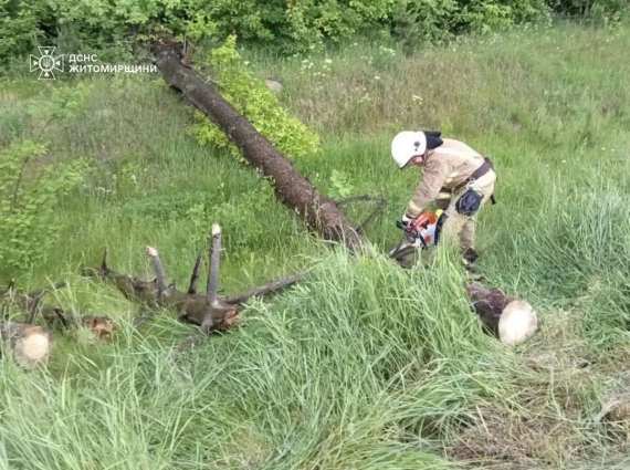 На Житомирщині рятувальники два рази залучалися до прибирання повалених негодою дерев