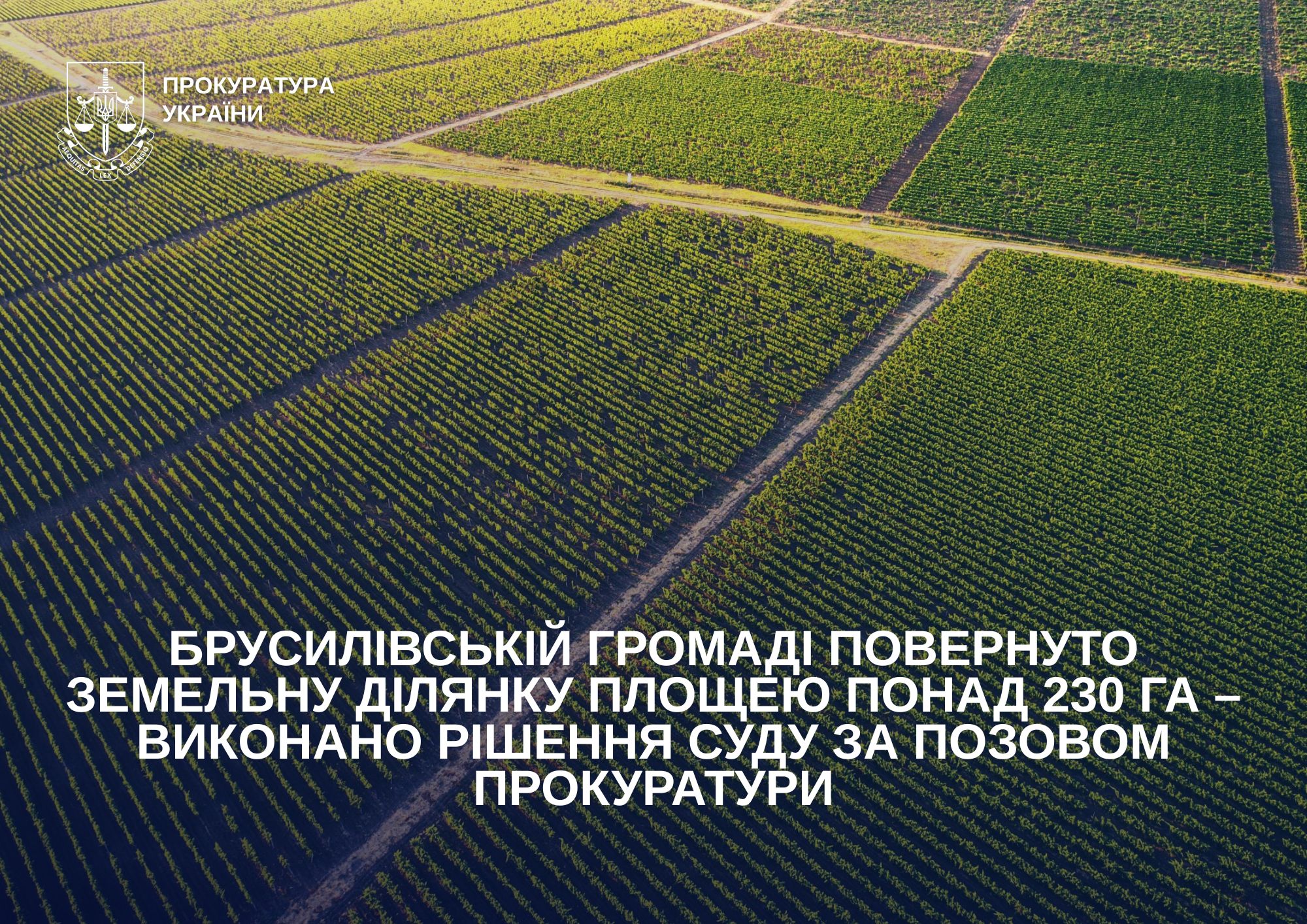 Брусилівській громаді повернуто земельну ділянку площею понад 230 га