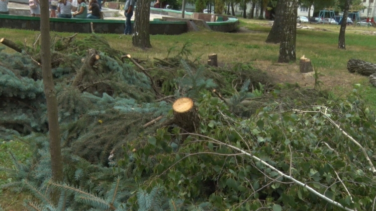 Жителі мікрорайону Польова у Житомирі проти зрізання дерев у сквері
