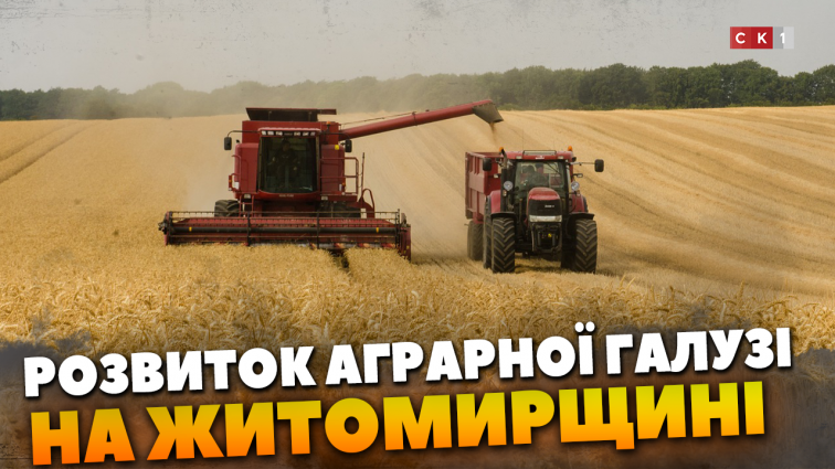 Аграрна галузь на Житомирщині: як розвивається та з якими викликами зіштовхнулась (ВІДЕО)