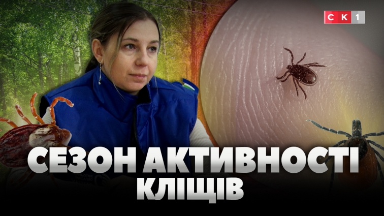 Кліщі вже прокинулися: як вберегтися від паразитів під час прогулянки? (ВІДЕО)