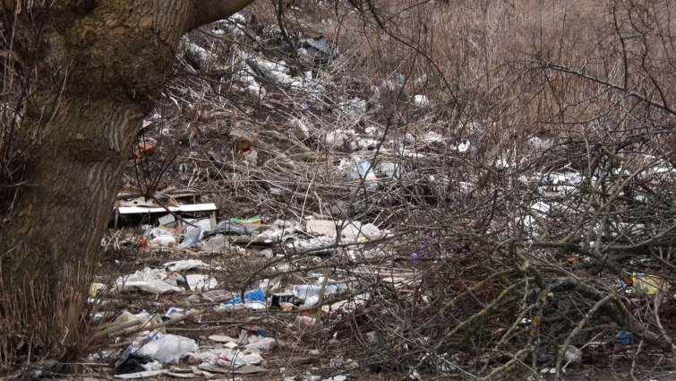 Стихійне сміттєзвалище на берегах Тетерева