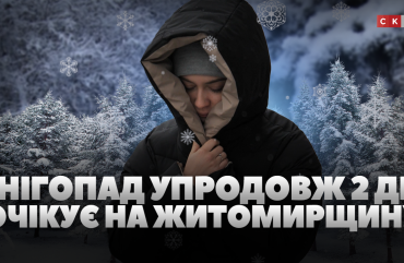 Снігові хуртовини та до -20 градусів морозу: на Житомирщину прийшов циклон (ВІДЕО)