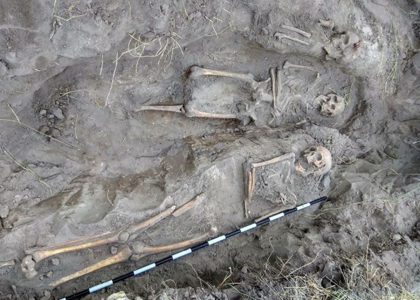 Неподалік Житомира науковці знайшли масове поховання