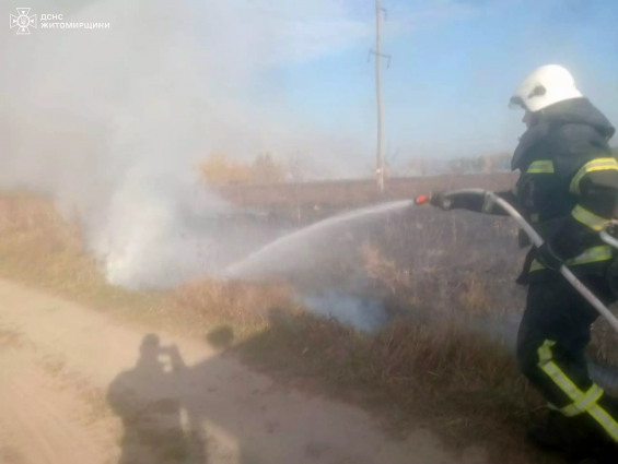 На Житомирщині за добу сталося два загоряння сухої трави