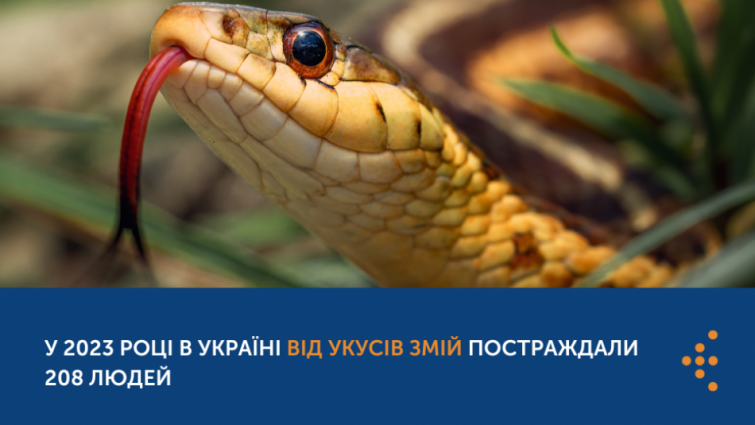 У 2023 році в Україні від укусів змій постраждали 208 людей, із них 18 випадків – зареєстровано на Житомирщині