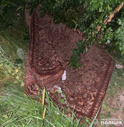 Виявили тіло чоловіка у килимі на вулиці Східній у Житомирі: подробиці від правоохоронців (ВІДЕО)