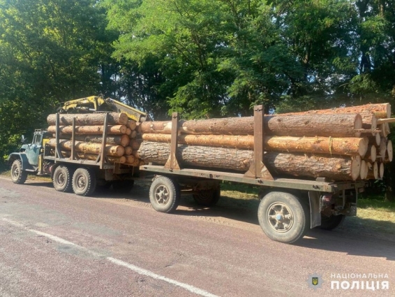 В Овручі затримали водія вантажівки, який перевозив колоди з деревиною без відповідних документів