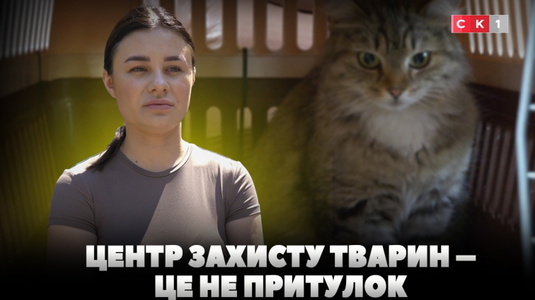 До Центру захисту тварин знову підкинули кошенят: чому так не можна робити?