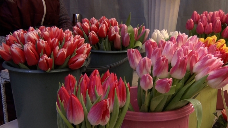 Скільки коштують квіти до 8 березня: ціни у Житомирі