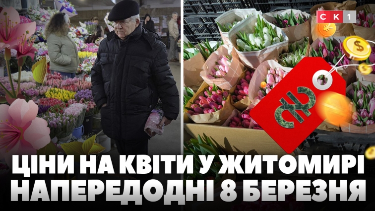 Які ціни на квіти пропонують продавці Житомира напередодні 8 березня