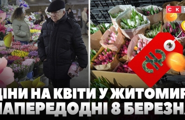 Які ціни на квіти пропонують продавці Житомира напередодні 8 березня