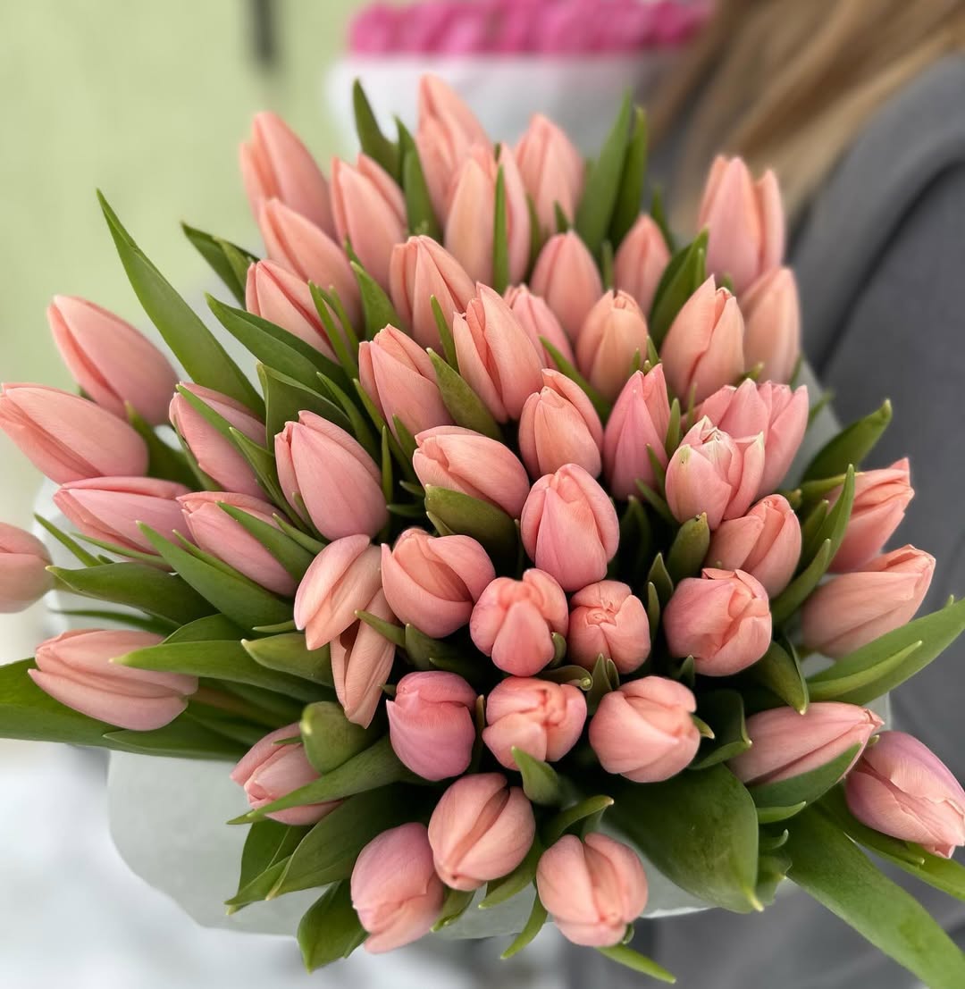 Втратив кошти на замовленні тюльпанів