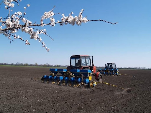 Весняна посівна у 2025 році: на Житомирщині вже посіяно 56,9 тис. га ранніх зернових та зернобобових культур
