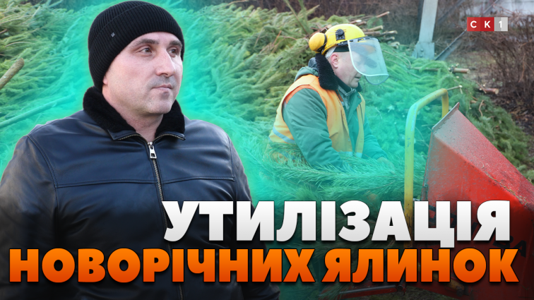 До 1 лютого житомиряни можуть здати свої новорічні ялинки на утилізацію (ВІДЕО)