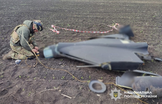 На Житомирщині вибухотехніки знищили бойові частини російських ракет та БпЛА (ВІДЕО)
