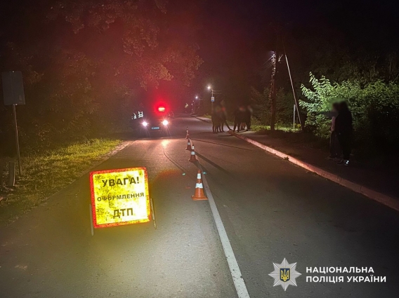 Збив 11-річну дівчинку та втік з місця ДТП: у Житомирі розшукують винуватця