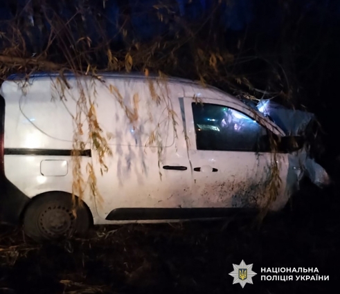 У ДТП у Житомирському районі травмовано чотирьох людей, серед них – двоє дітей