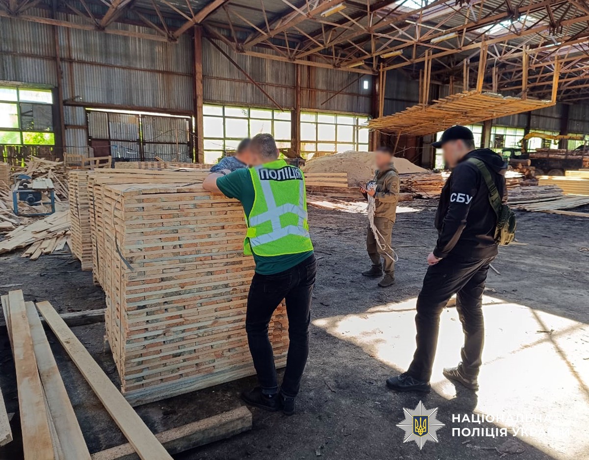 Експорт сосни майже на 5 млн. грн.: на Житомирщині викрили турка, який незаконно вивозив за кордон деревину