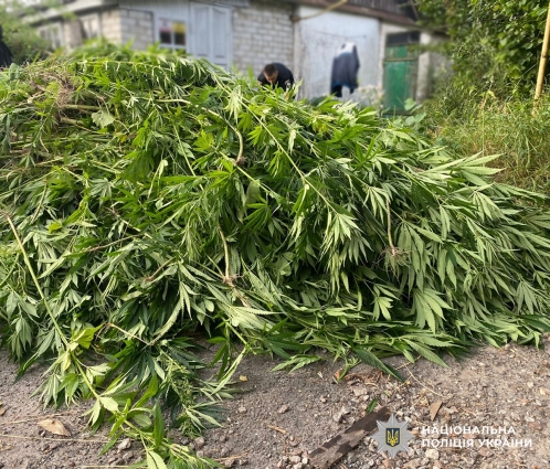 У Коростенському районі в двох чоловіків виявили наркотичні речовини, які вони зберігали з метою збуту (ФОТО)