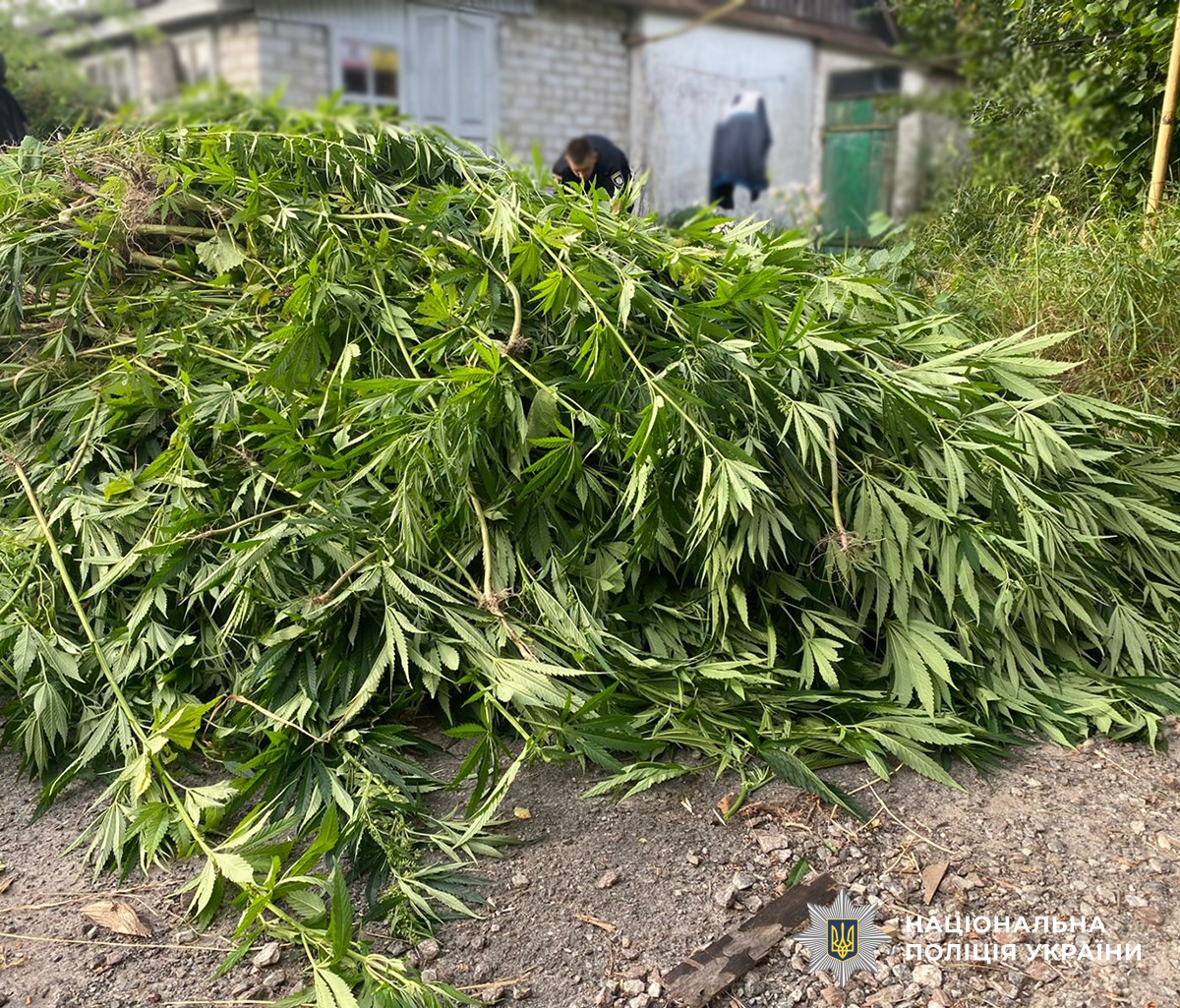 У Коростенському районі в двох чоловіків виявили наркотичні речовини, які вони зберігали з метою збуту (ФОТО)