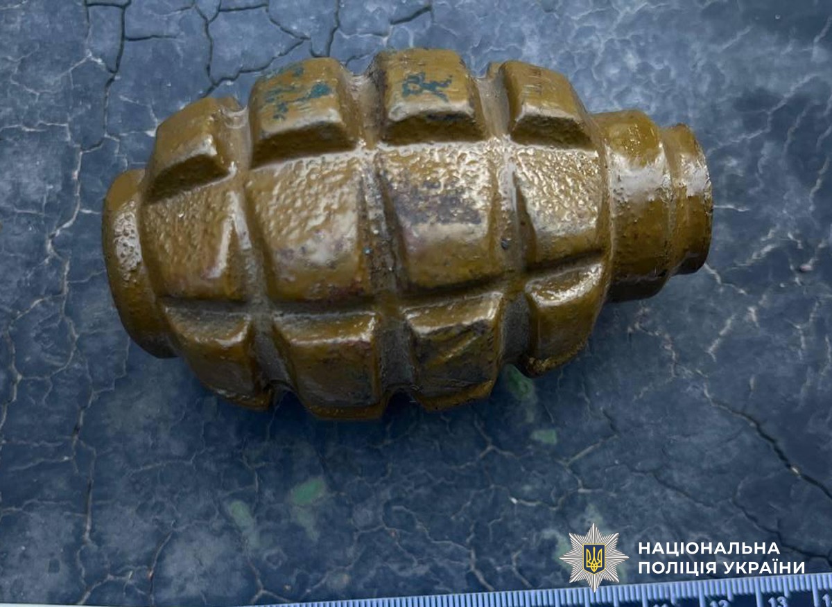 У Коростені затримали чоловіка, який вдома зберігав гранату