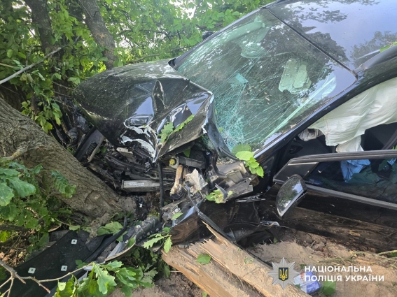 У Житомирському районі травми в ДТП отримали двоє киян