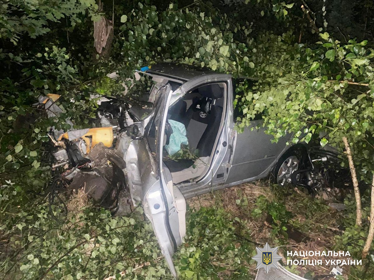 П’яний водій не впорався з керуванням і загинув у ДТП поблизу Малина