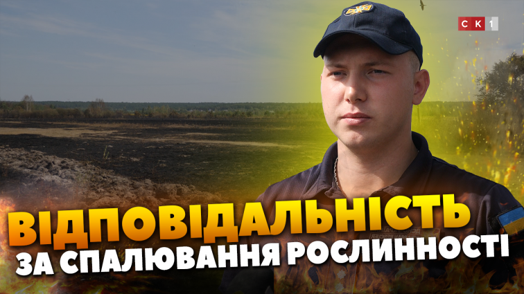 Кількість пожеж на Житомирщині зросла майже удвічі з 2023 року: причини та покарання винуватцям (ВІДЕО)