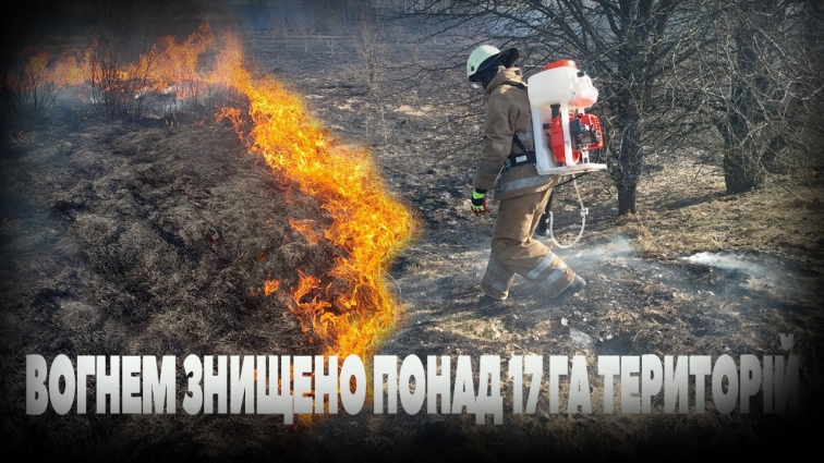 Близько 50 пожеж сталося на Житомирщині цьогоріч через спалення сухої трави (ВІДЕО)
