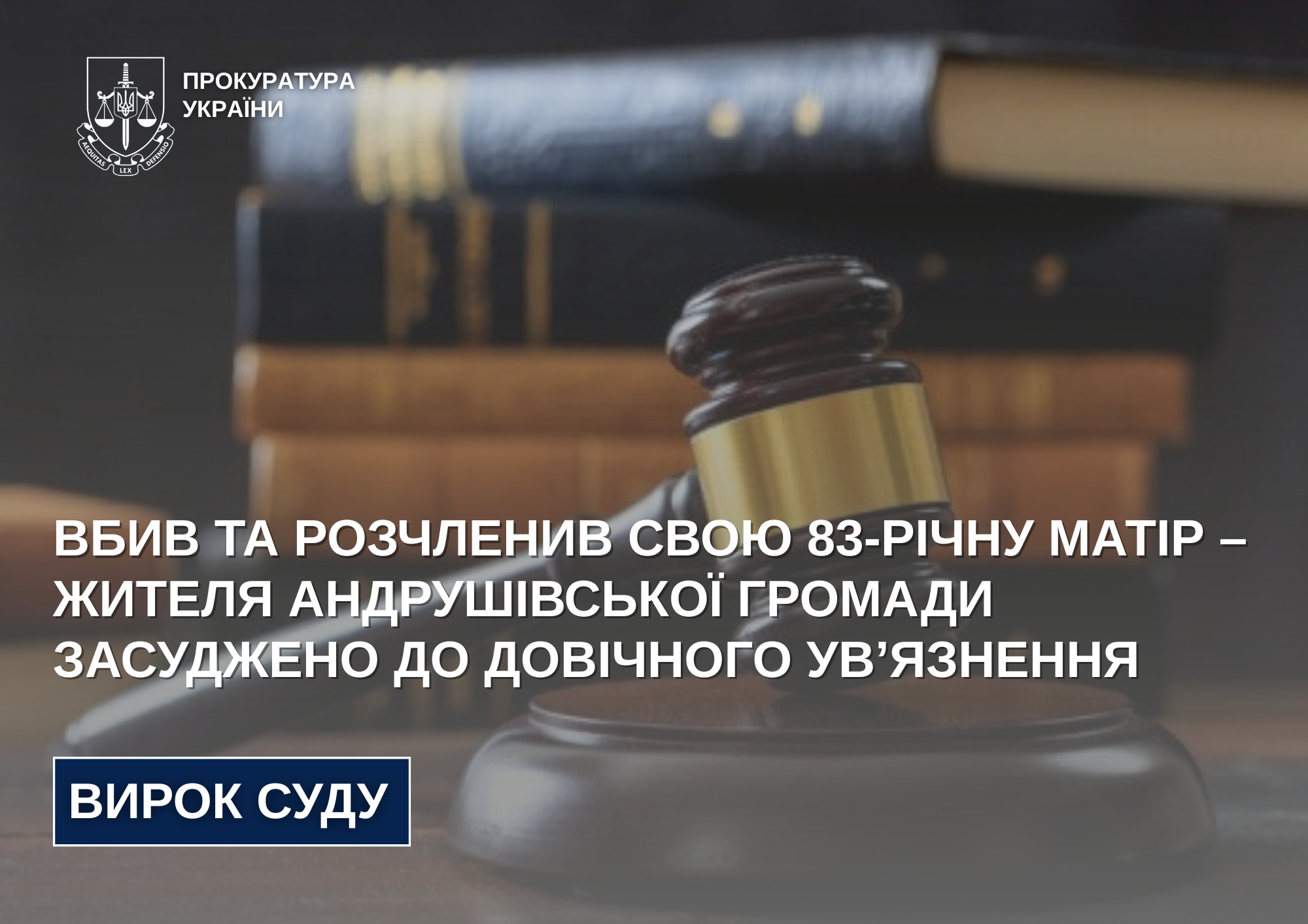Жителя Андрушівської громади, який вбив та розчленив свою 83-річну матір, засуджено до довічного ув’язнення