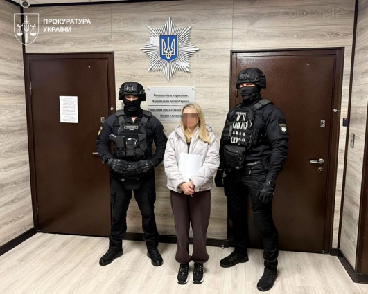 Під час сну торкалась статевих органів та сідниць: на Житомирщині матір підозрюють у створенні та поширенні дитячої порнографії