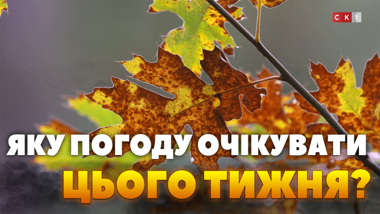 Погода на найближчі дні: які температури очікувати житомирянам (ВІДЕО)