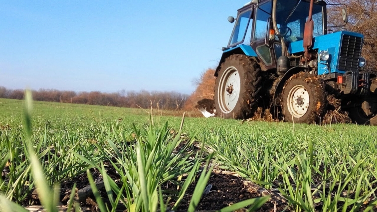 На Житомирщині під урожай 2023 року у всіх категоріях господарств озимі культури на зерно посіяні на площі понад 160 тис. га