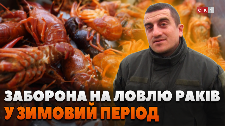 Коли у дію вступає заборона на ловлю раків у Житомирській області? (ВІДЕО)