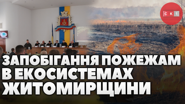 Пожежі в екосистемах: на Житомирщині провели нараду для того, щоб скоординувати зусилля спецслужб (ВІДЕО)