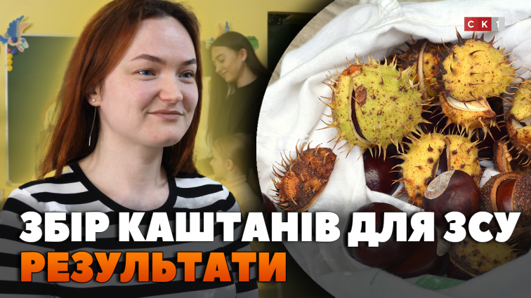 У Житомирі завдяки акції «Каштани для ЗСУ» вдалося зібрати 18 тонн плодів (ВІДЕО)