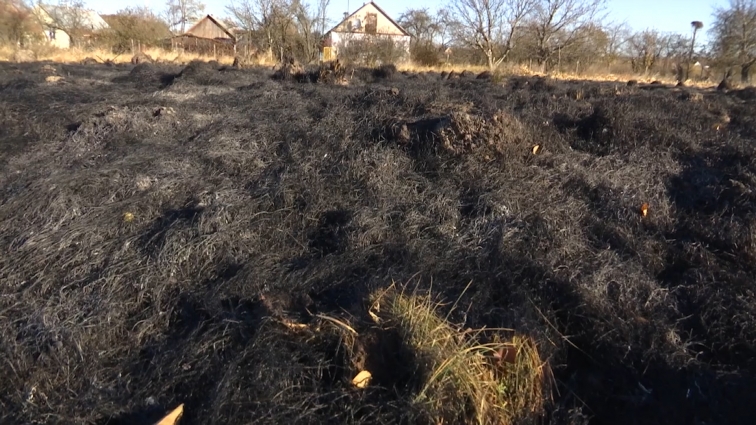 На Житомирщині чоловік палив суху траву, але не зміг приборкати вогонь і згорів живцем