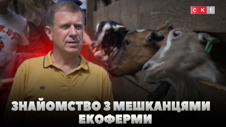 У Житомирі запрацювала екоферма, де відвідувачі можуть доторкнутись до тварин (ВІДЕО)
