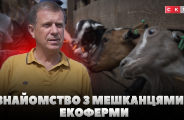 У Житомирі запрацювала екоферма, де відвідувачі можуть доторкнутись до тварин (ВІДЕО)