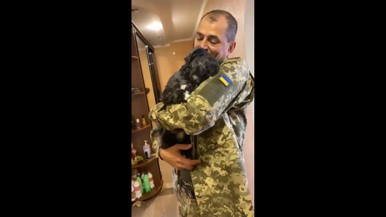Відео зворушливої зустрічі собаки та захисника зробили їх зірками тік-току: військовому нині потрібна допомога (ВІДЕО)